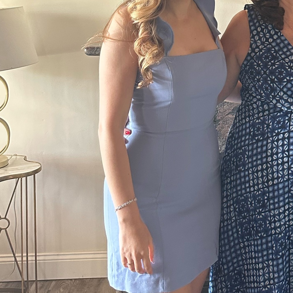French Connection Periwinkle Dress
